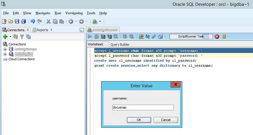 Docusnap Inventarisierung Oracle Benutzer erstellen Developer
