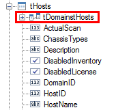 Docusnap-Report-Designer-tDomains-Host