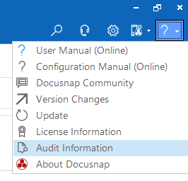 Audit Title Bar