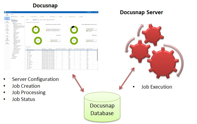 Docusnap-Server-Overview-Graph