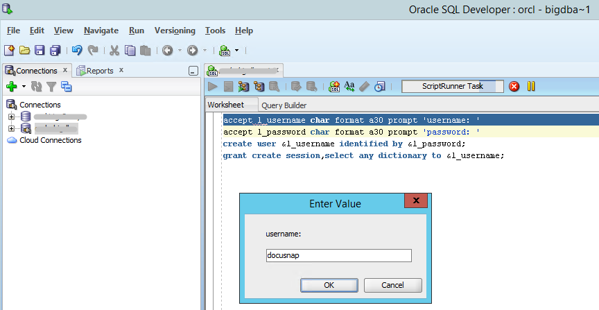 Docusnap Oracle Create User Developer