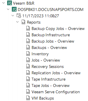 Docusnap Inventory Veeam Tree Reports